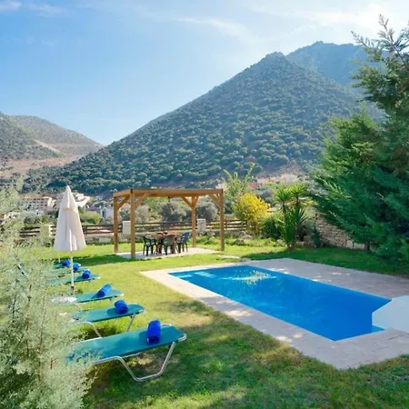 فيلة Uphoria